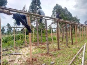 received_465980853876576